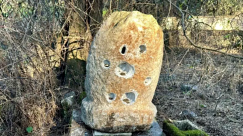 Muğla'da 2 Asırlık 19 Delikli Adak Taşı Kayboldu: 'Kendisine Zarar Getireceğine İnanıyoruz'