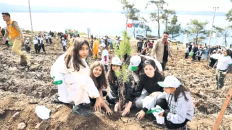 Muğla'da Yangın Yarası Sarılıyor: 200 Hektar Yeniden Yeşilleniyor