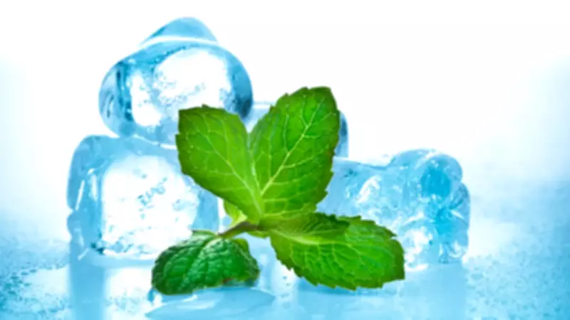 Nane Neden Soğuk Hissettirir? Bilim İnsanları Moleküler Sırrı Çözdü