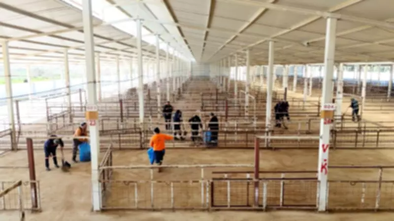 Nazilli Hayvan Pazarı 7 Ay Sonra Yeniden Açılıyor: Temizlik ve Dezenfekte Tamamlandı