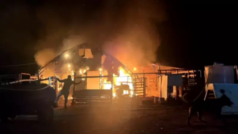 İnegöl'deki Çiftlik Yangınında 580 Hayvan Hayatını Kaybetti