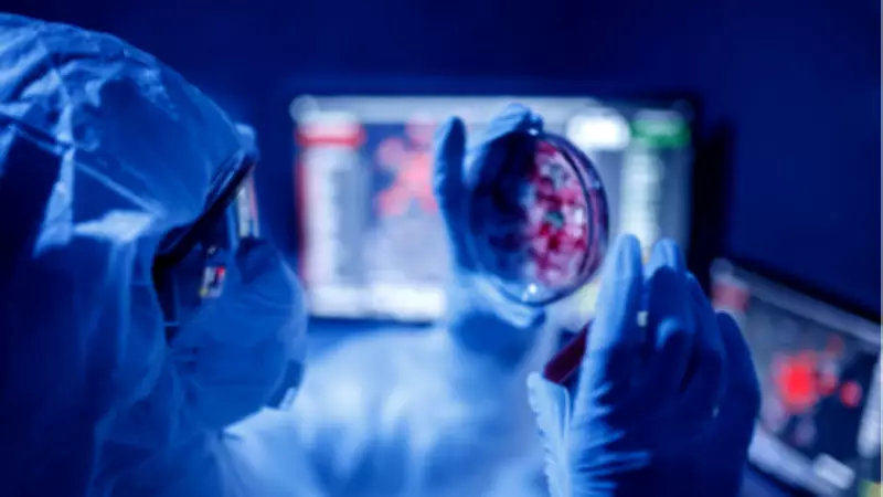 İngiltere'de Menenjit Salgını: Kent Üniversitesi'nde 2 Ölüm, 11 Hasta