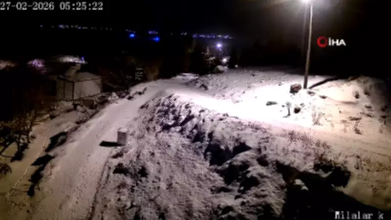 Niğde'de Köy İçine İnen Kurtlar Güvenlik Kamerasına Yansıdı