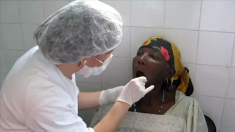 Nijerya'da Lassa Ateşi Salgını: 10 Sağlık Çalışanı Hayatını Kaybetti