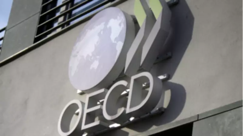OECD Türkiye Büyüme Tahminlerini Revize Etti: 2026'da Yüzde 3,3, 2027'de Yüzde 3,8
