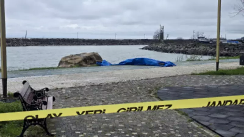 Ordu'da Sahile Vuran İnsansız Araç İncelemeye Alındı: Patlayıcı Bulunmadı