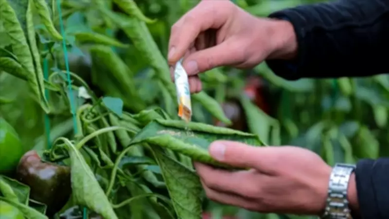 Orman Zararlılarına Biyolojik Mücadele: Faydalı Canlı Üretimi 1 Milyonu Aştı