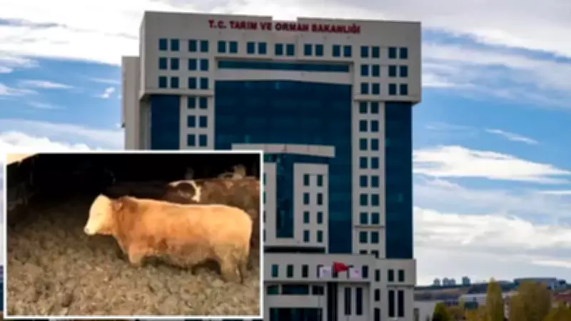 Çorum'da Kurbanlık Hayvanlara Kötü Muamele: İşletmeye Para Cezası