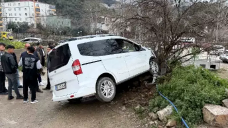 Osmaniye'de Freni Boşalan Araç Ağaca Çarptı: 1 Yaralı