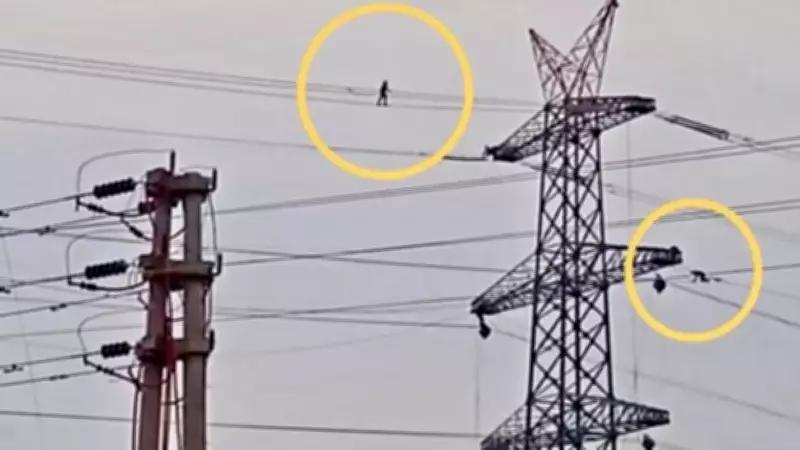 Osmaniye'de Yüksek Gerilim Hattında İp Cambazlarını Andıran İşçiler