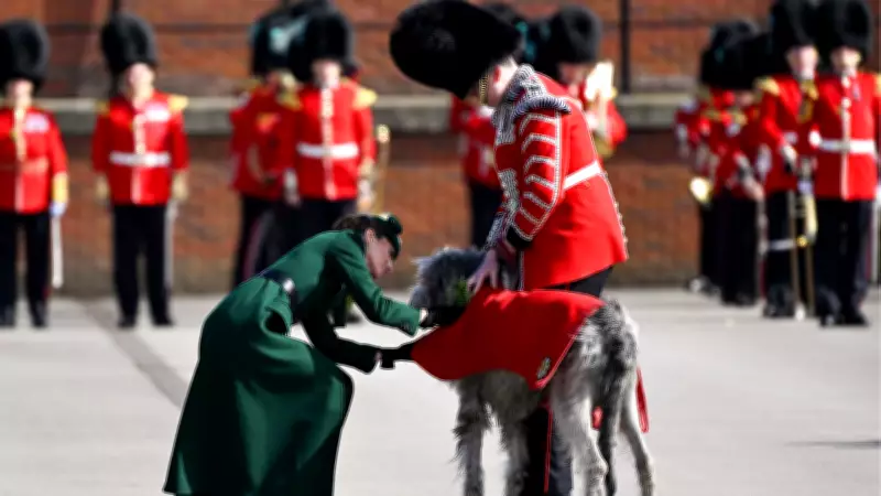 Prenses Kate, Aziz Patrick Günü'nde Maskot Kurt Köpeğini Selamladı