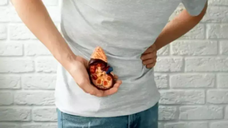 Prof. Dr. Mustafa Kaplan'dan Böbrek Taşı Uyarısı: Her 10 Kişiden Birinde Görülüyor