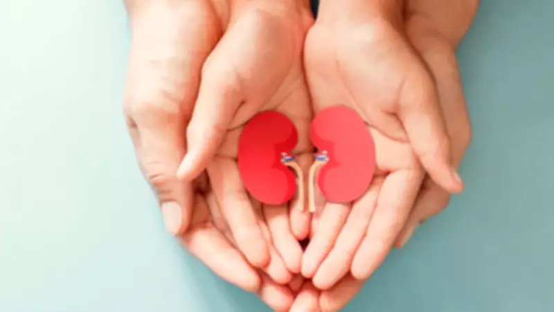 Prof. Dr. Yavaşcan'dan Kritik Uyarı: Paketli Gıdalar Çocukları Diyalize Götürebilir