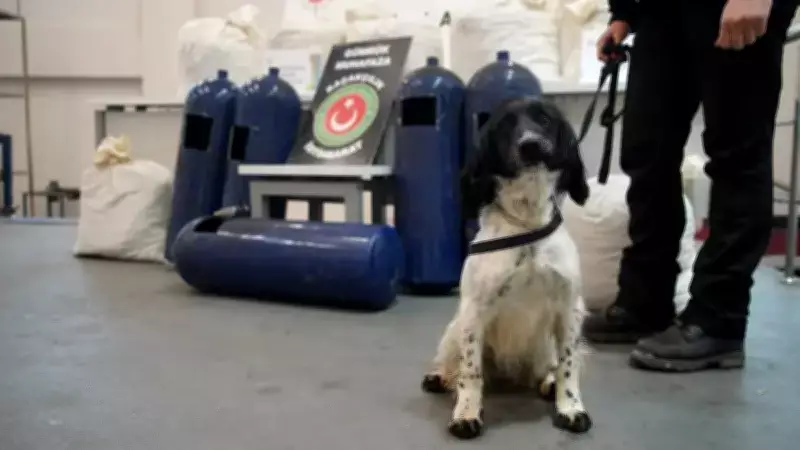 İpsala'da Büyük Uyuşturucu Operasyonu: 35 Kilo Skunk Ele Geçirildi