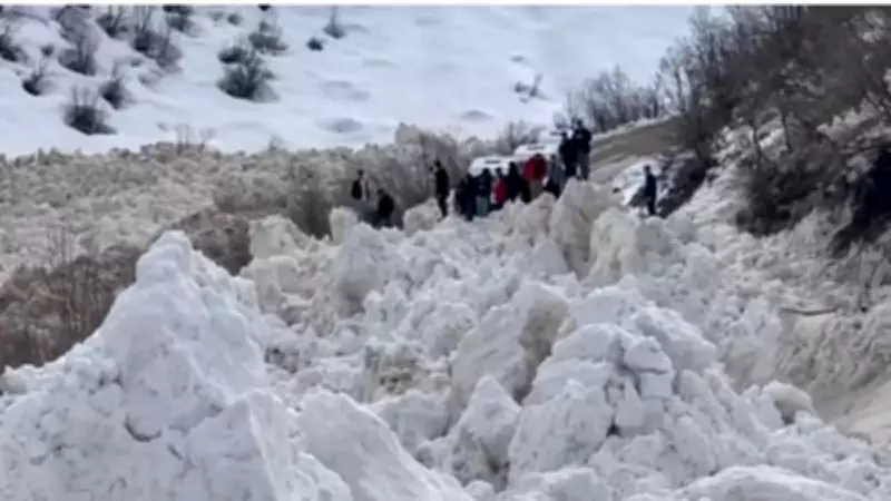 Şırnak'ta Çığ Faciası Son Anda Önlendi: Öğrenci Servisi Kurtuldu