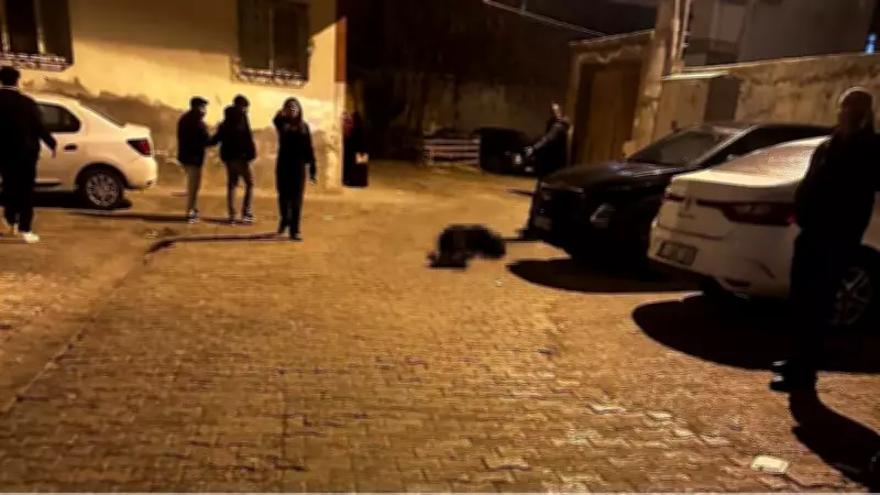 Şırnak'ta Sokak Ortasında Silahlı Saldırı: Davut A. Başından Vuruldu