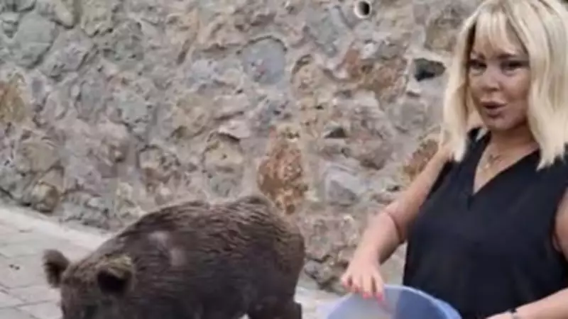 Safiye Soyman, Bodrum'daki Evine Gelen Yaban Domuzunu Cevizle Besledi