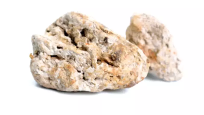 Sahilde Bulunan 'Balina Kusmuğu' Gramı Servet Ediyor: Altından Daha Değerli