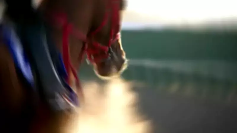 Sakatlanan Yarış Atı Kavurma Yapıldı İddiası: Sahibi 'Izdırap Duyuyorum' Dedi