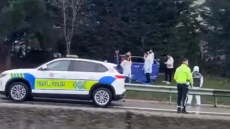 Sancaktepe'de Dehşet Verici Buluş: Otoban Kenarında Yeni Doğmuş Bebek Cesedi