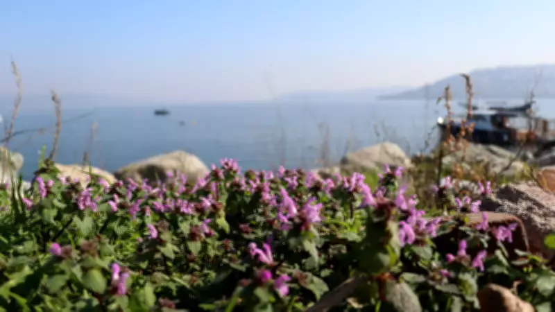 Sapanca Gölü Çevresinde 112 Bitki Türü Akademik Çalışmayla Kayıt Altına Alındı