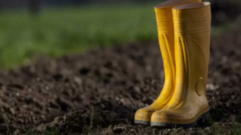 Sarı Çizmeli Mehmet Ağa'nın Gerçek Hikayesi: Barış Manço'nun Efsane Şarkısının Ardındaki Cömertlik
