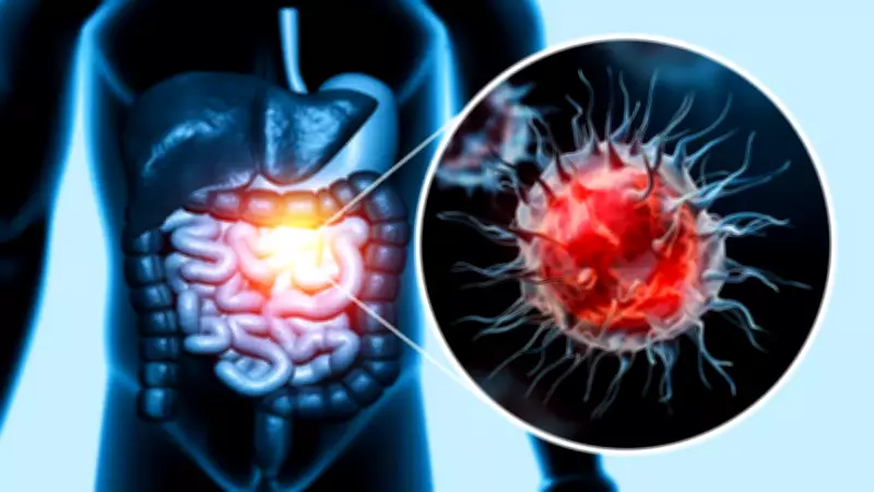 Sessiz Tehdit: Kolon Kanserinin En Yaygın Belirtileri ve Risk Faktörleri Açıklandı