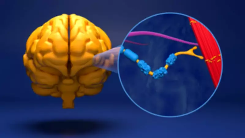 Sessiz Tehlike ALS: Kaslar Duruyor, Hastalık Durmuyor!