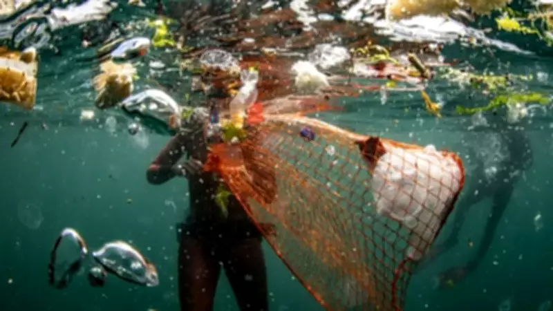Sıfır Atık Mavi Hareketi'nde Büyük Başarı: Denizlerden 325 Bin Ton Atık Temizlendi