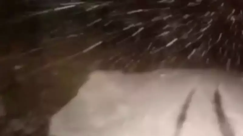 Siirt'te Kar Mücadelesi: Mahsur Kalanlar Kurtarıldı, Yollar Açılıyor