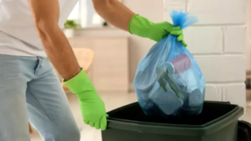 Sineklerin Korkulu Rüyası: Mutfakta Tuz Kullanımı ile Rahatlayın