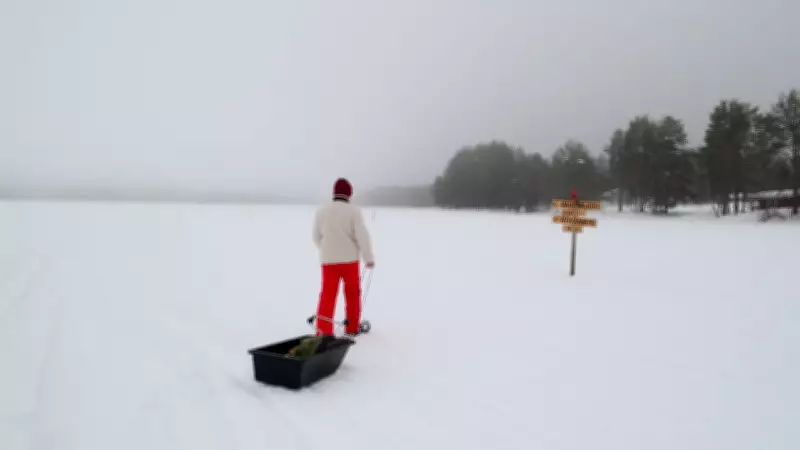 Sodankyla'da Kuzey Kutup Dairesi'nde Zorlu Kışa Rağmen Yaşam Devam Ediyor