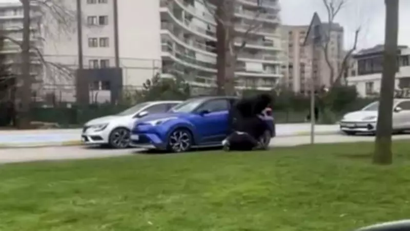 İstanbul Pendik'te Trafik Kavgası: İki Kadın Saç Saça Dövüştü