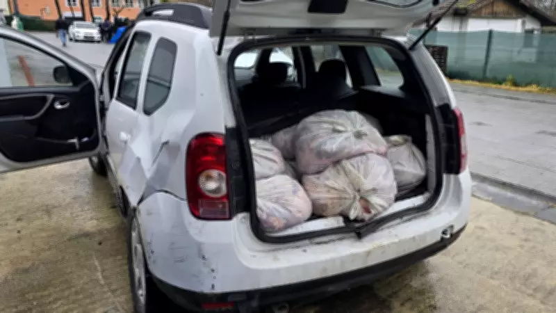 İstanbul'da 306 Kilo At Eti Ele Geçirildi: 3 Şüpheli Gözaltında