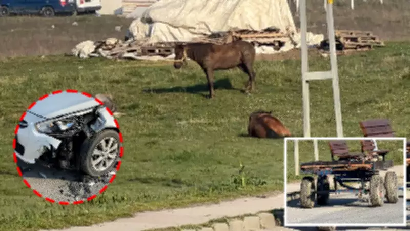İstanbul'da Kontrolden Çıkan At Arabası Park Halindeki Araçları Parçaladı
