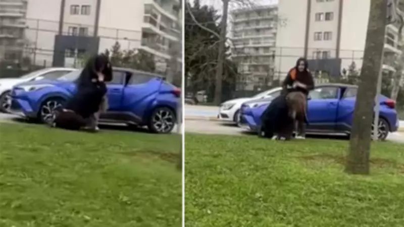 İstanbul'da Trafik Kavgası: İki Kadın Sürücü Saç Saça Baş Başa Girdi