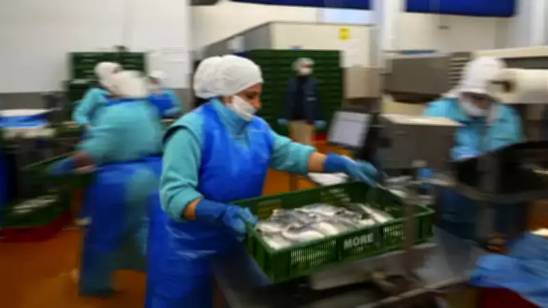 Su Ürünleri İhracatında Cumhuriyet Tarihi Rekoru: İlk İki Ayda Yüzde 31 Artış