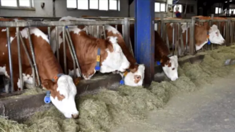 Tarım Bakanlığı'ndan Hayvanlara Kötü Muamele Yapan İşletmeye Ağır Para Cezası
