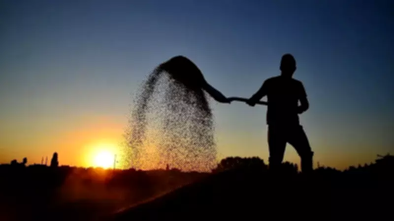 Tarım Bakanlığı'ndan Kırsal Kalkınma ve İklim Mücadelesi İçin Büyük Bütçe ve Projeler