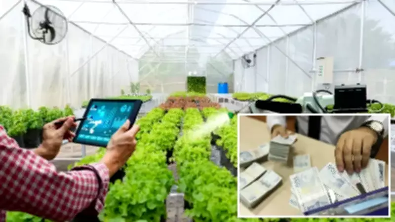 Tarımda Dijital Devrim: Hibe Desteği Oranı Yüzde 70'e Çıkıyor