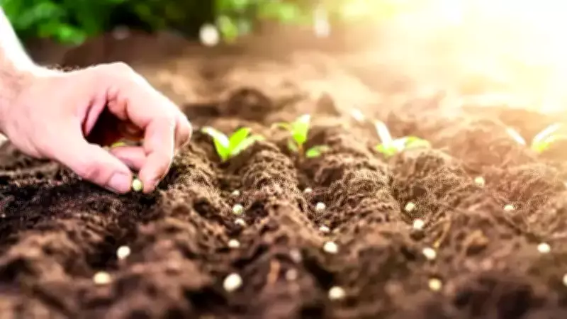 Tarımda Üretim Artışı İçin Yeni Destek Programı Açıklandı