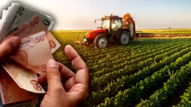 Tarımsal Destek Ödemeleri Başladı: 12 Milyar Lira Çiftçilere Aktarılıyor
