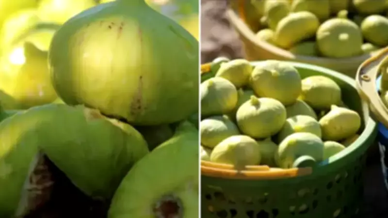 Taste Atlas Dünyanın En İyi İnciri Listesini Açıkladı: Türkiye Damgası