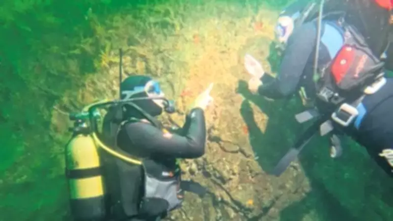 Tavşan Adası: Av Değil Yaşam Alanı Olarak Koruma Altında