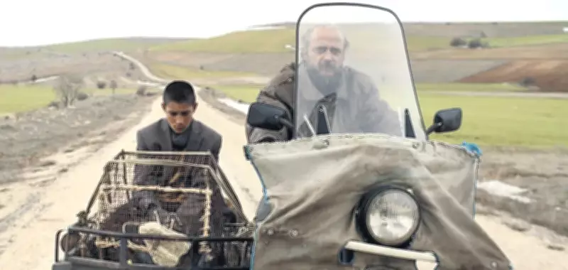 Tavşan İmparatorluğu ve Ann Lee Efsanesi: Festivallerden Ödüllerle Dönen Filmler Seyirciyle Buluştu