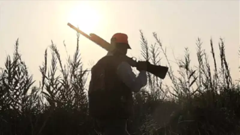 TBMM'de Kabul Edilen Yeni Düzenleme: Yaban Hayvanlarına Kontrollü Av İzni