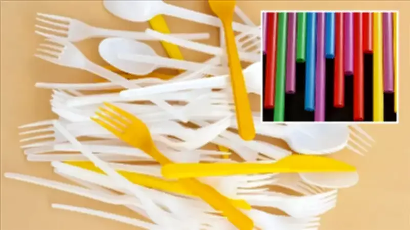 Tek Kullanımlık Plastikler Yasaklanıyor: Yeni Yönetmelik Yıl Sonunda Yürürlüğe Giriyor