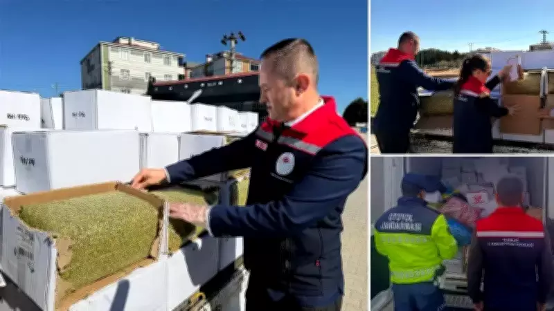 Tekirdağ'da Jandarma 2 Ton Kanserojen Antep Fıstığına El Koydu