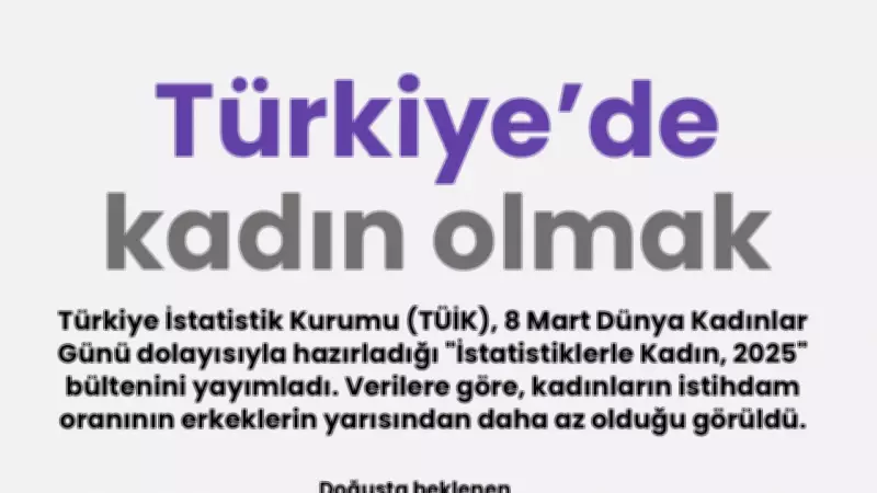 TÜİK'in 2025 Kadın Raporu: İstihdamda Büyük Fark, Şiddet Endişe Verici