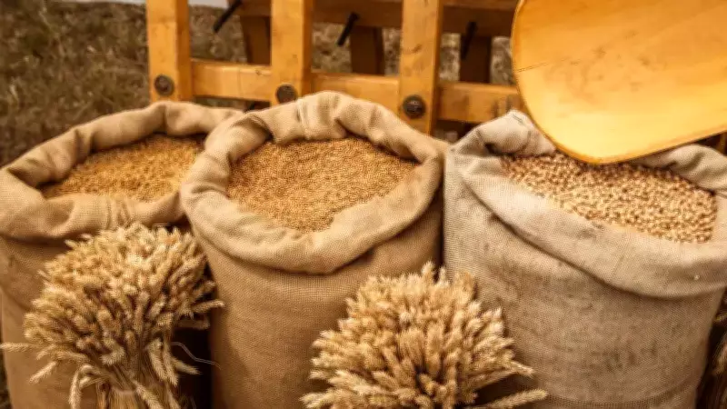 TİM: İlk İki Ayda Ayçiçek Yağı İhracatı 191,8 Milyon Dolar İle Lider